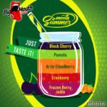 Smooth Summer - Frozen Berry Juice